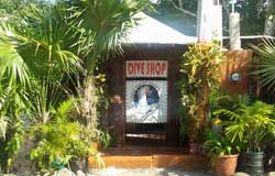 Almost Heaven Adventures Dive Shop
