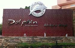 Dolphin Discovery Puerto Aventuras is the Closest location to Playa Del Secreto
