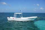 Puerto Morelos | Almost Heaven Adventures | Panga 29′ Andrea Rose | Fishing, Snorkeling & Scuba