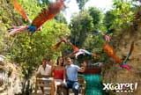 Our Vacation Villa guest visit Xcaret and see the parrots