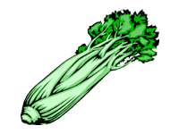 Puerto Morelos Vacation Rentals serve celery