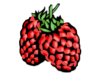 Puerto Morelos Vacation Rentals serves raspberrys