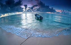 Puerto Morelos Villas | The Residents of Puerto Morelos have a love for the ocean and an enormous respect for the marine life.