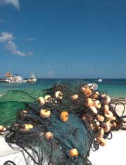 Puerto Morelos Villas | A Fishing Net from one of the local fishermen, in the late afternoon you can buy fish right from the fishermen at the dock.