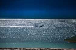 Puerto Morelos Villas | Photo of a panga (local outboard-powered, fishing boat) in waters infront of Puerto Morelos.